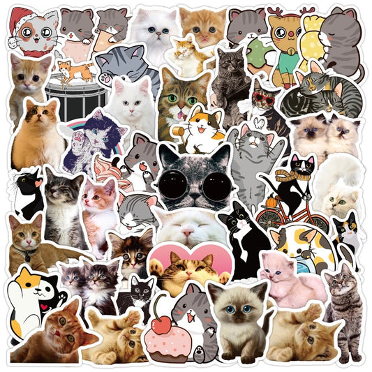 Cat Sticker Set of 5