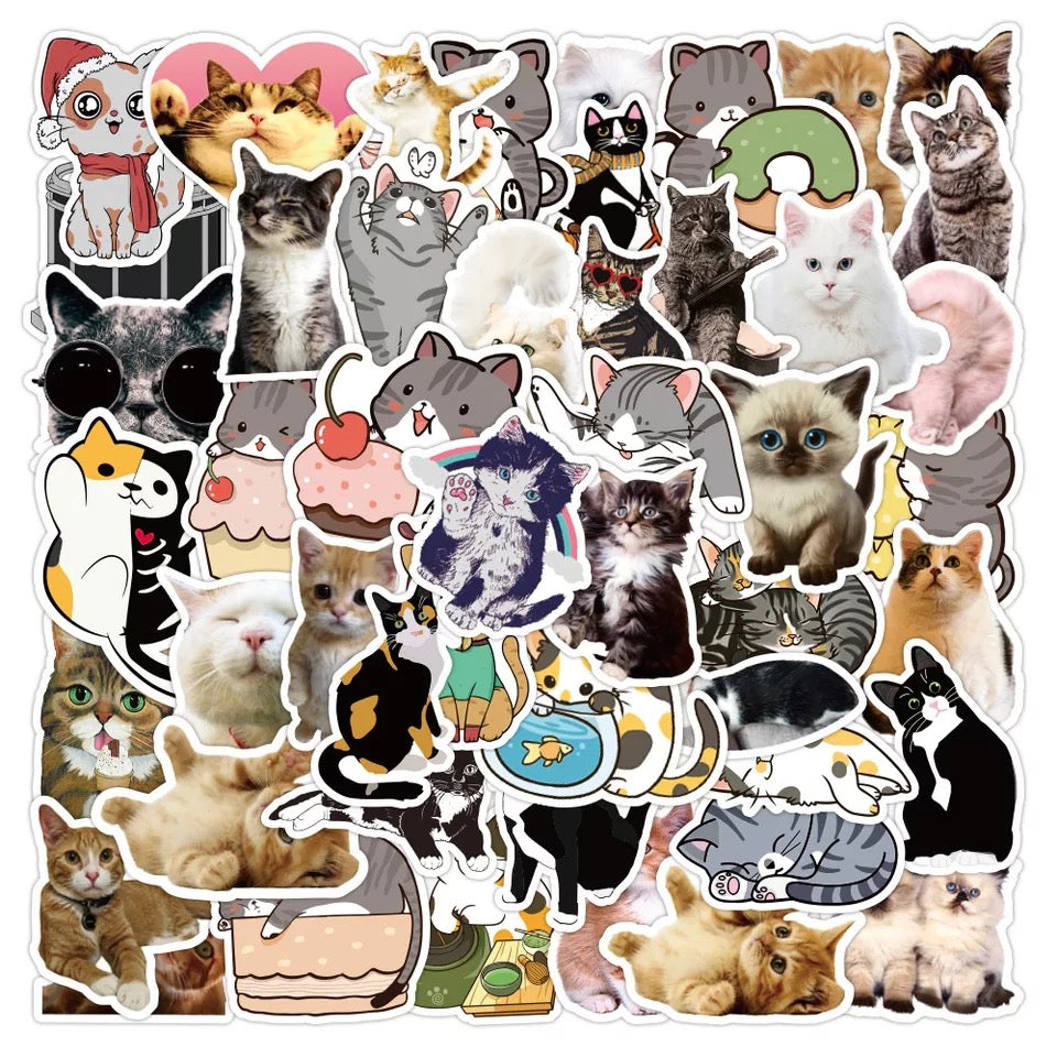 Cat Sticker Set of 5